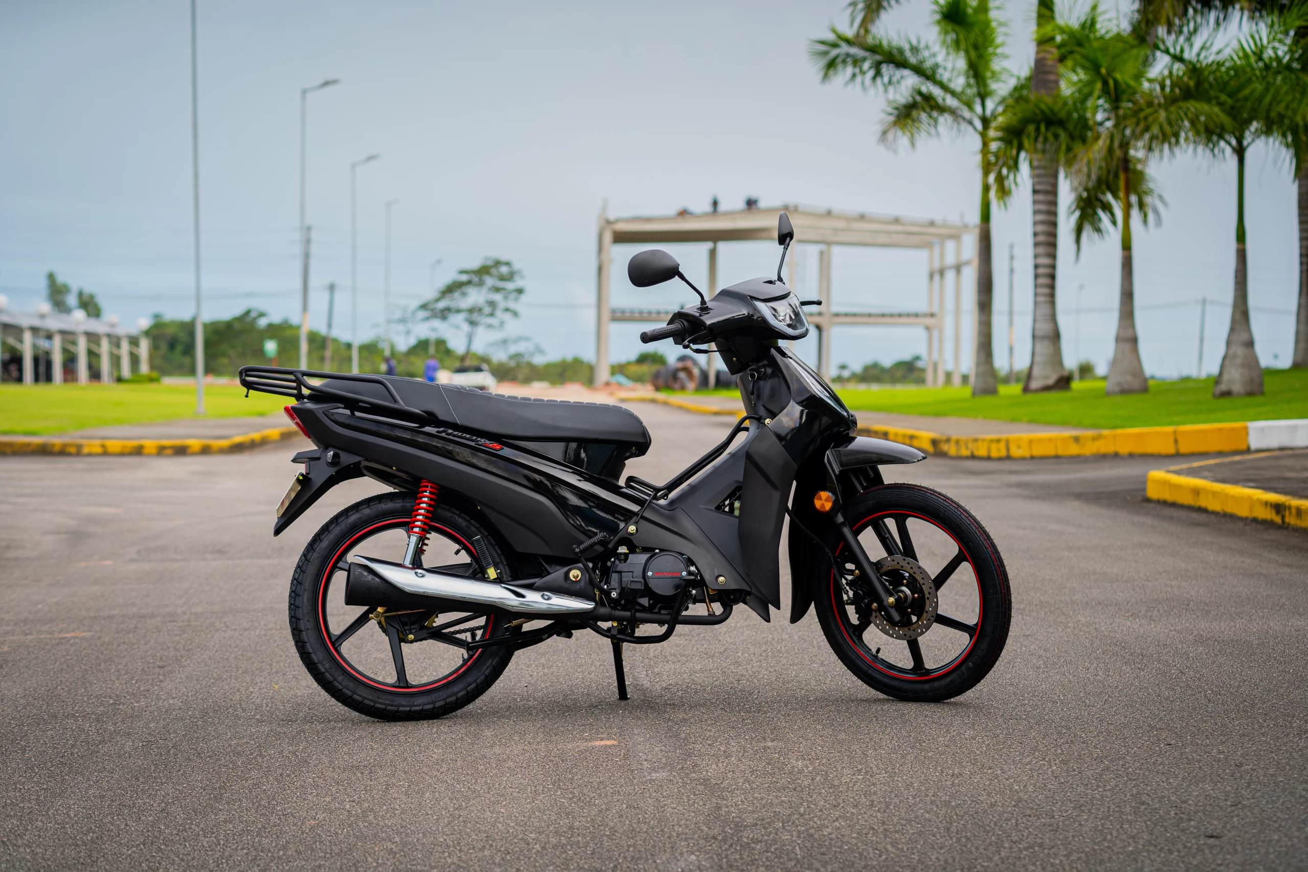 PHOENIX S EFI